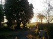 photo1