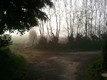 photo2